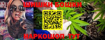прущие грибы Будённовск