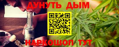 прущие грибы Будённовск
