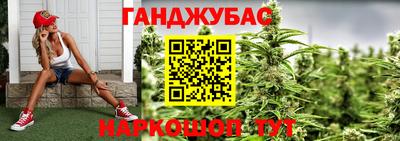 прущие грибы Будённовск
