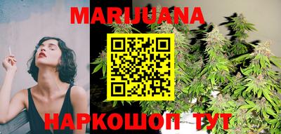 прущие грибы Будённовск