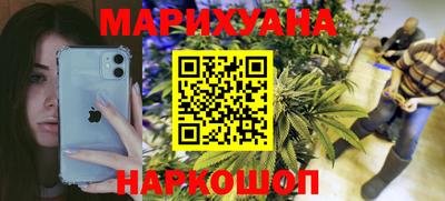 прущие грибы Будённовск