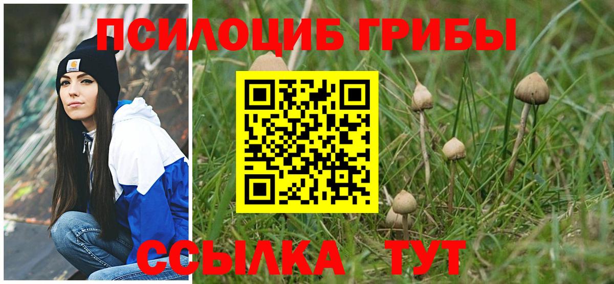 Киржач  Галлюциногенные грибы мицелий  Вход с VPN 